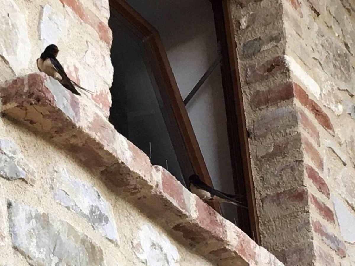San Venanzo - Casale De Conti Villa Dış mekan fotoğraf